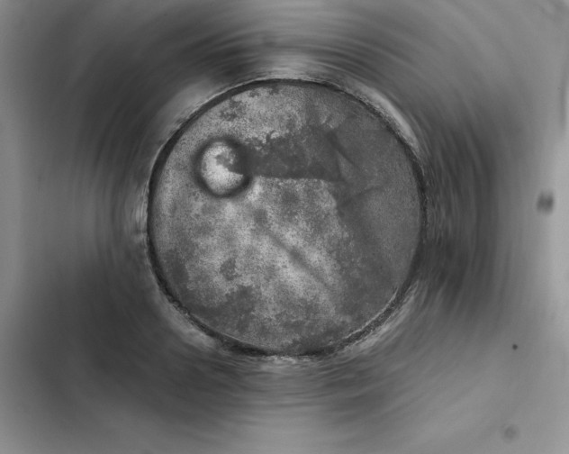 X0000102520938200808221838