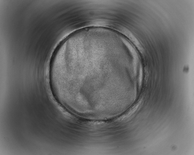 X0000102520939200808221838