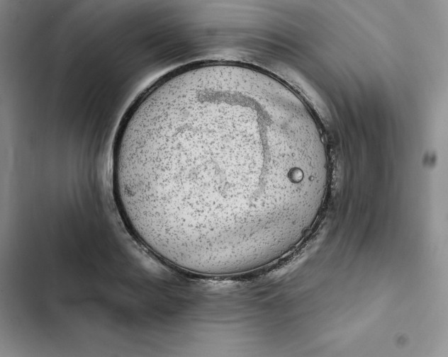 X0000102520940200808221838