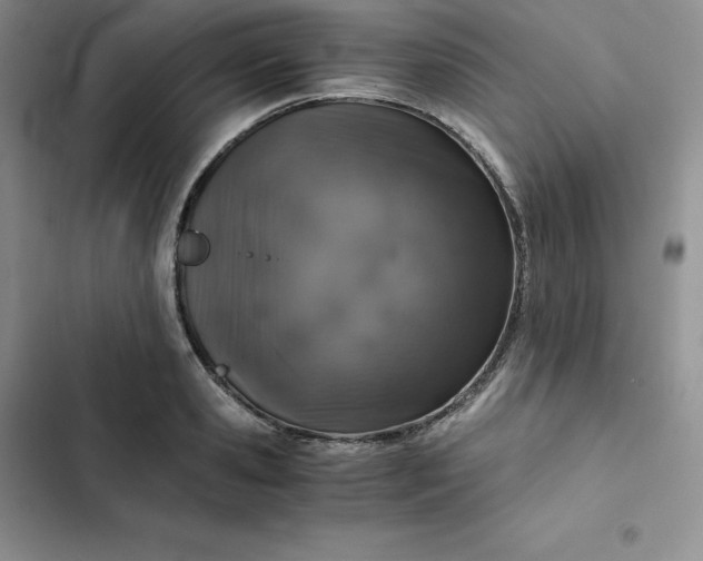 X0000102520941200808221838