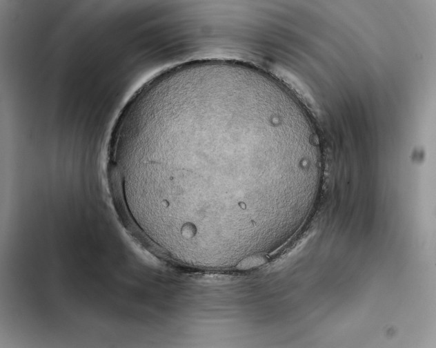 X0000102520942200808221838