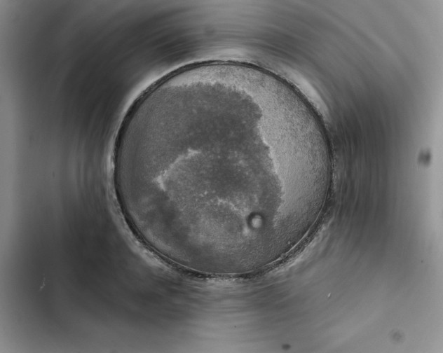 X0000102520944200808221838