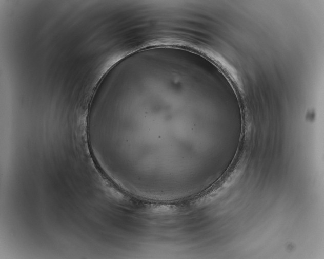 X0000102520945200808221838