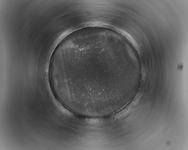 X0000102520946200808221838