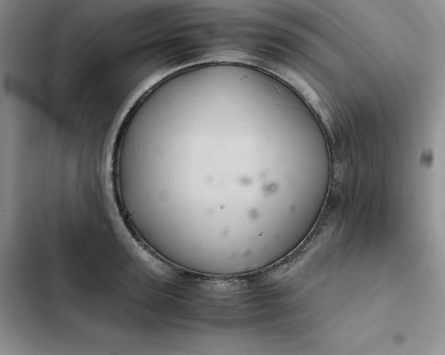 X0000102520947200808221838