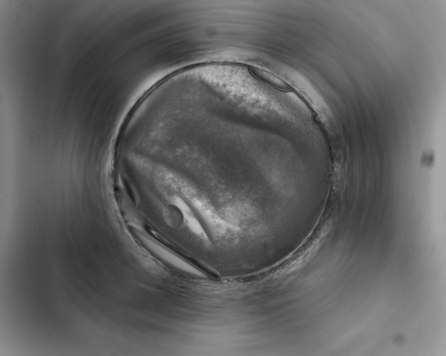 X0000102520948200808221838