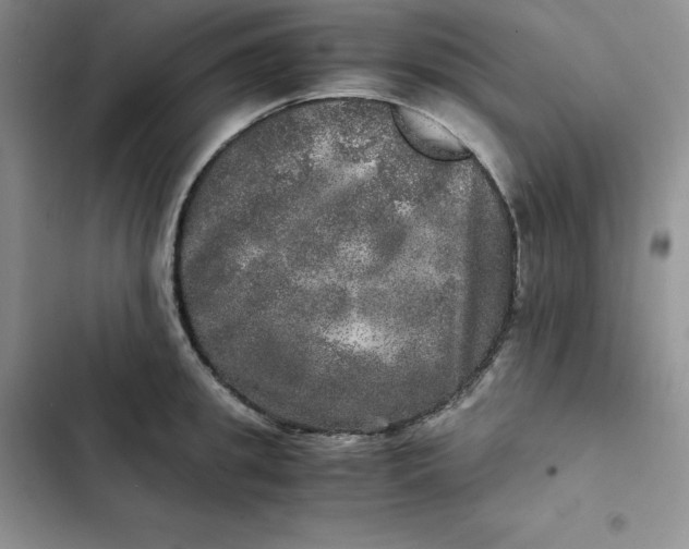 X0000102520949200808221838