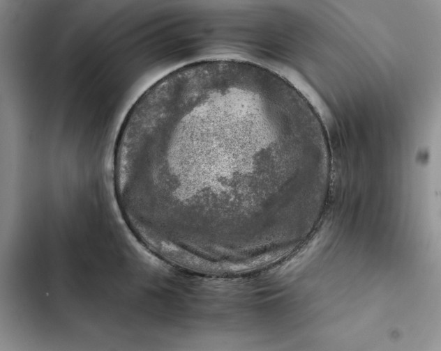 X0000102520951200808221838