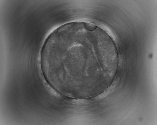 X0000102520952200808221838