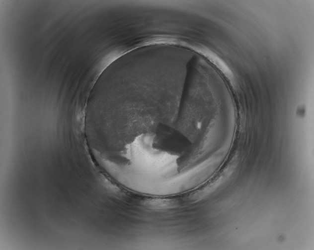 X0000102520953200808221838