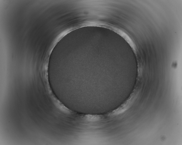 X0000102520954200808221838