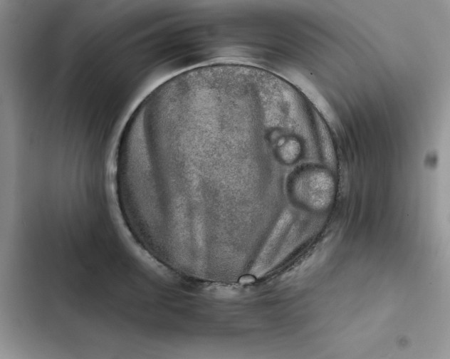 X0000102520955200808221838