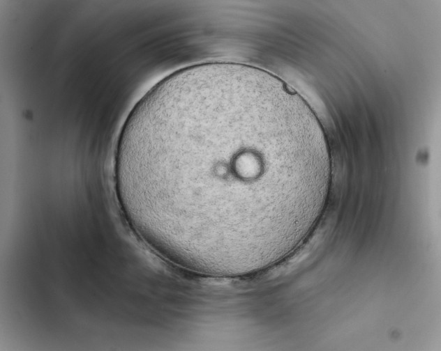 X0000102520956200808221838