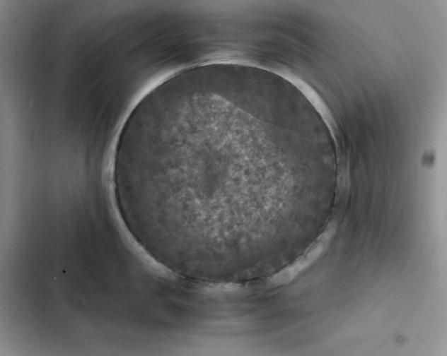 X0000102520957200808221838