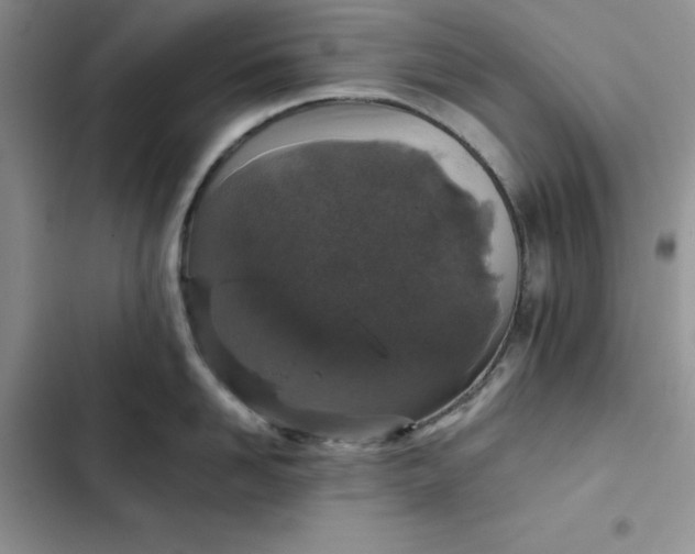 X0000102520958200808221838