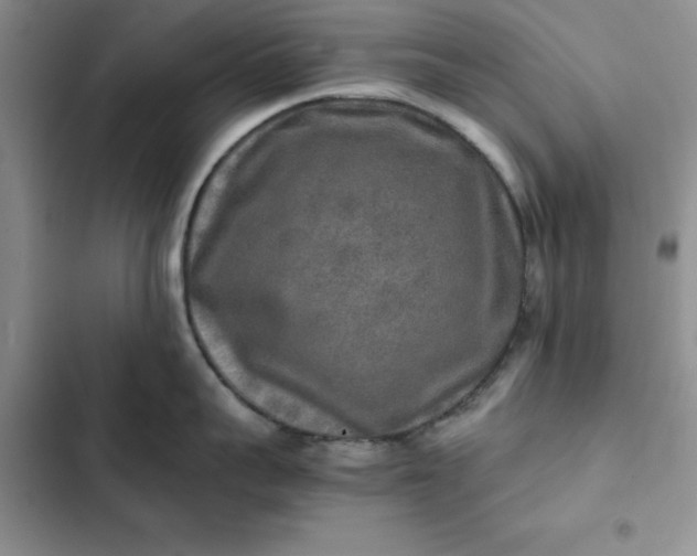 X0000102520959200808221838