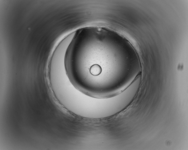 X0000102520960200808221838