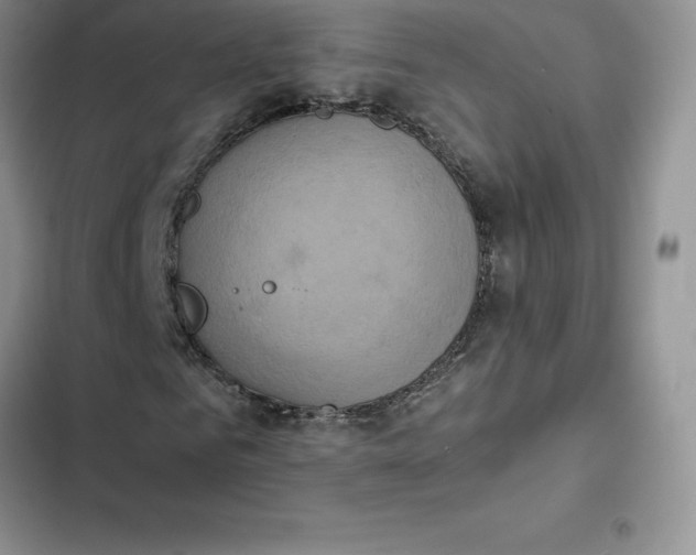 X0000102520961200808221838