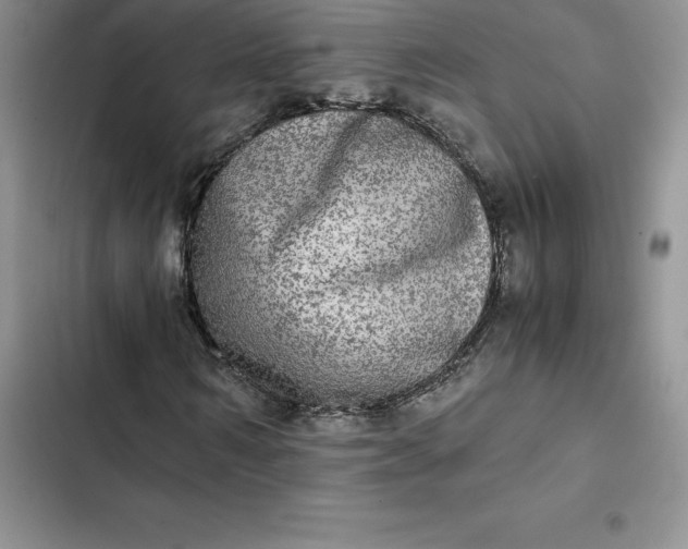 X0000102520962200808221838