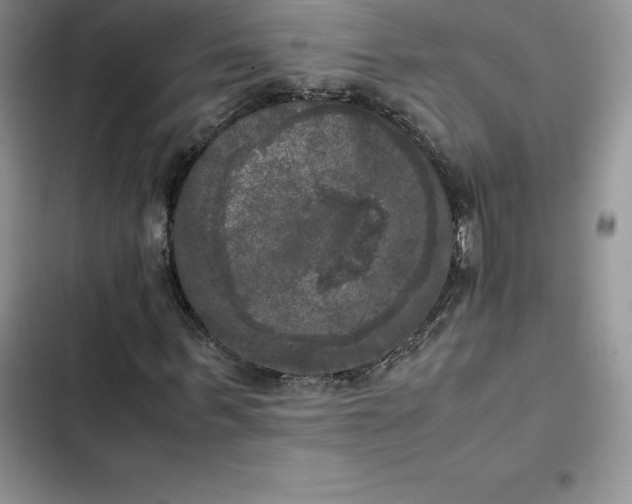 X0000102520963200808221838