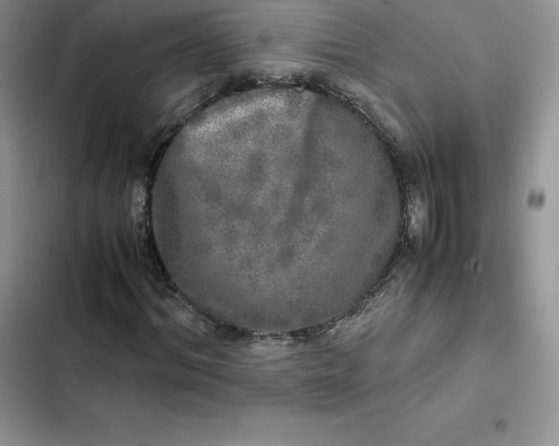 X0000102520964200808221838