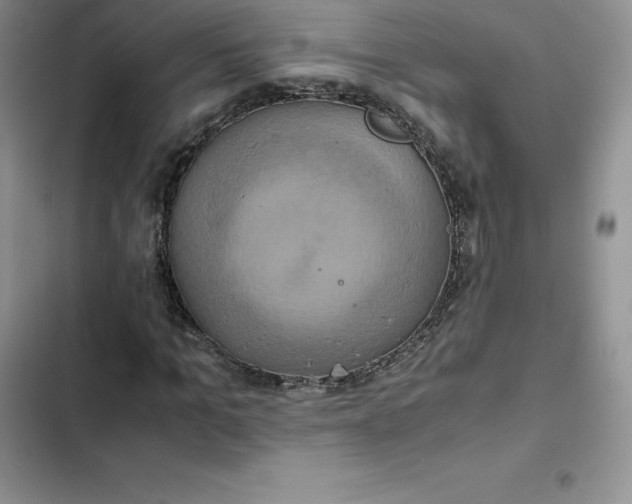 X0000102520965200808221838