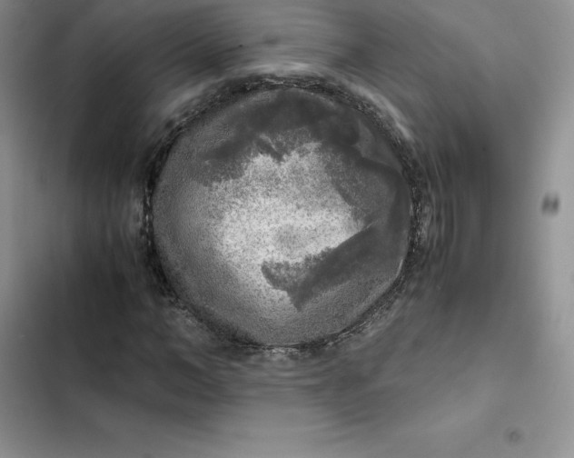 X0000102520966200808221838