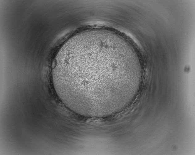 X0000102520967200808221838