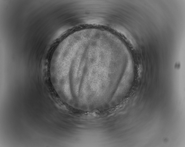 X0000102520968200808221838