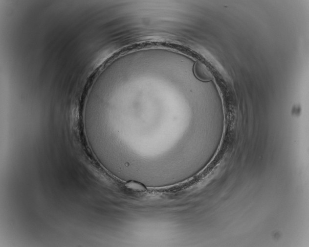 X0000102520969200808221838