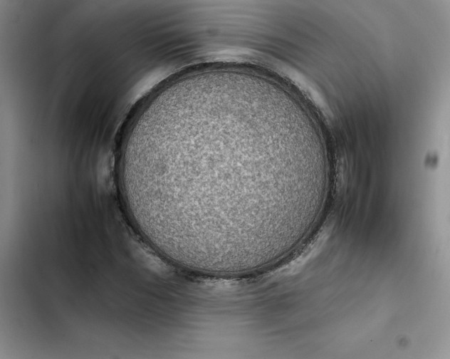 X0000102520970200808221838