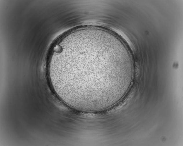 X0000102520971200808221838