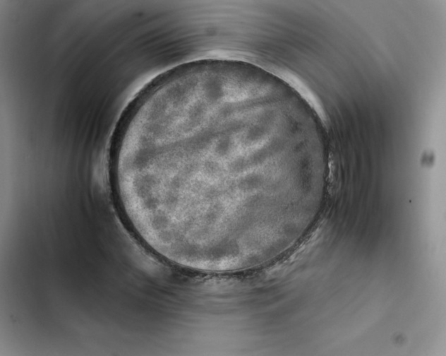 X0000102520972200808221838