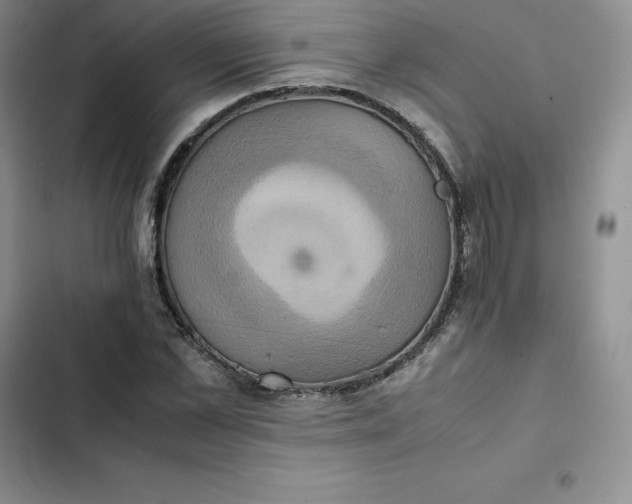 X0000102520973200808221838