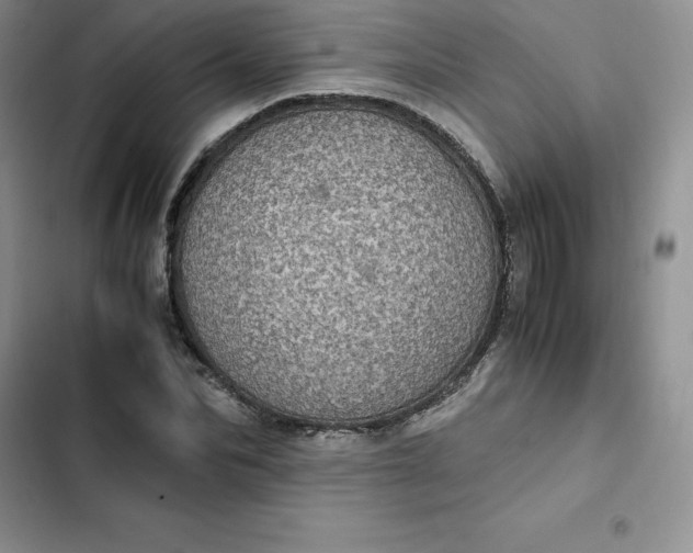 X0000102520974200808221838