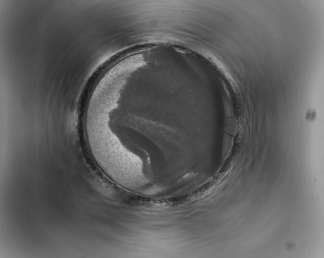 X0000102520975200808221838