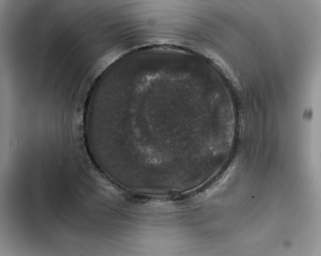 X0000102520977200808221837