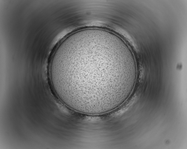 X0000102520978200808221837