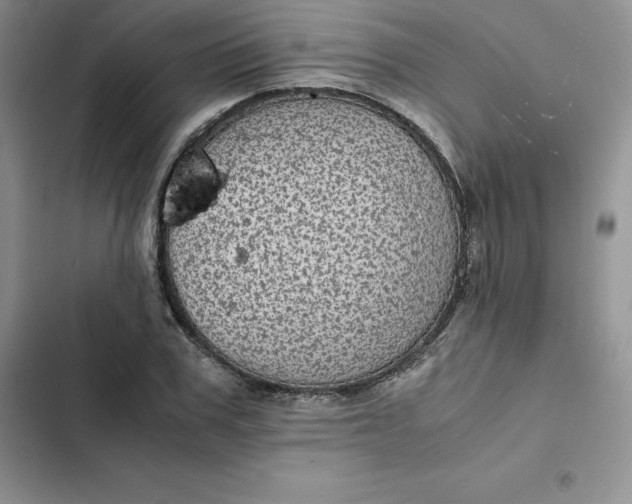 X0000102520979200808221837