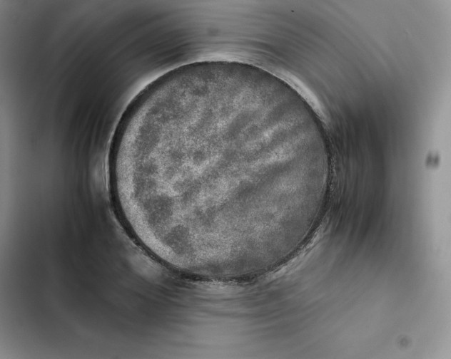 X0000102520980200808221837