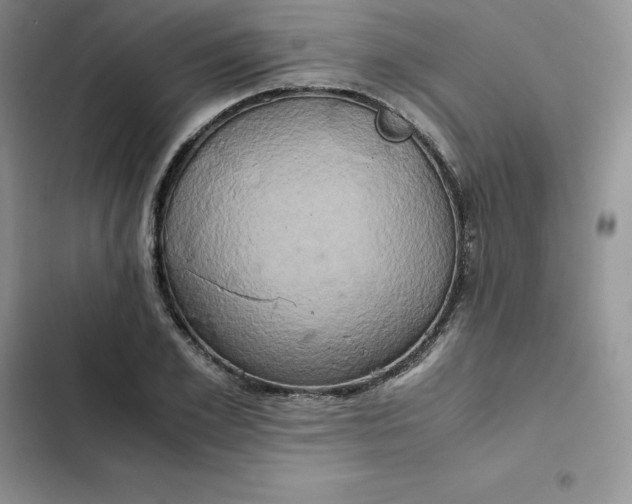 X0000102520981200808221837