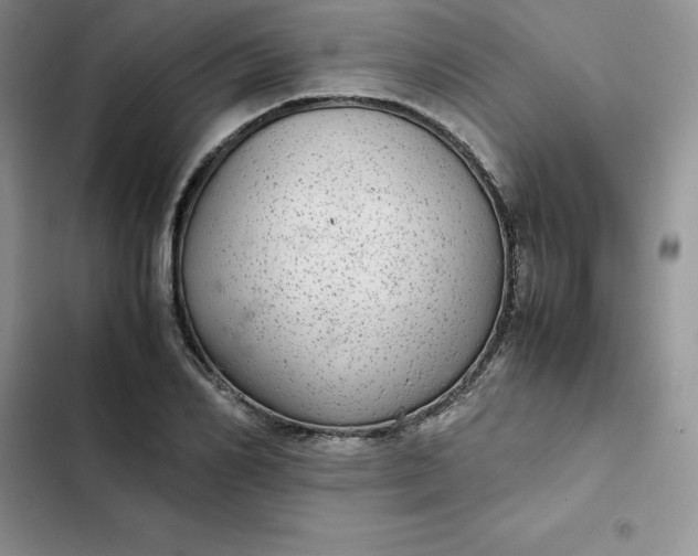 X0000102520982200808221837