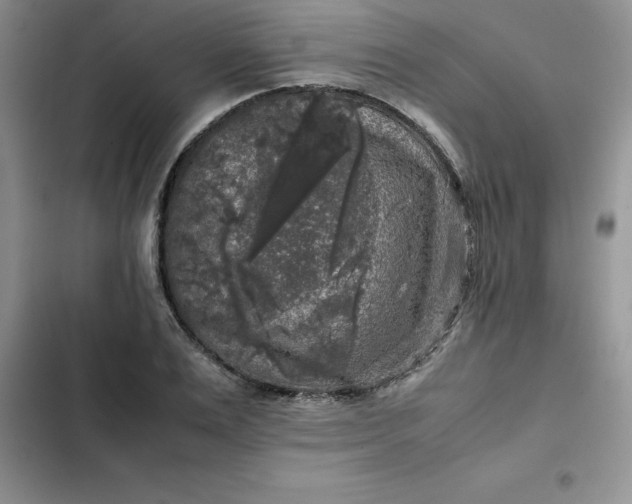 X0000102520983200808221837