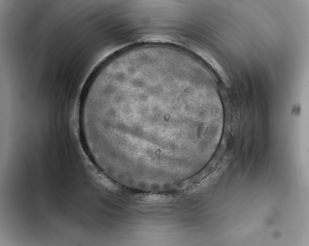 X0000102520984200808221837