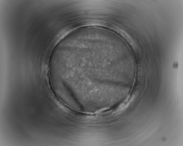 X0000102520985200808221837