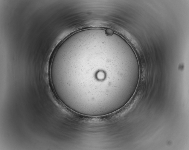 X0000102520986200808221837