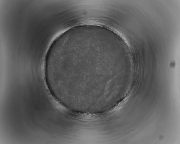 X0000102520987200808221837