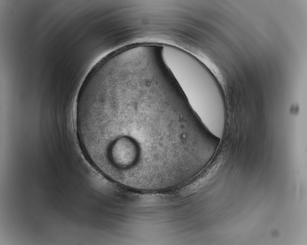 X0000102520988200808221837