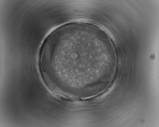 X0000102520989200808221837