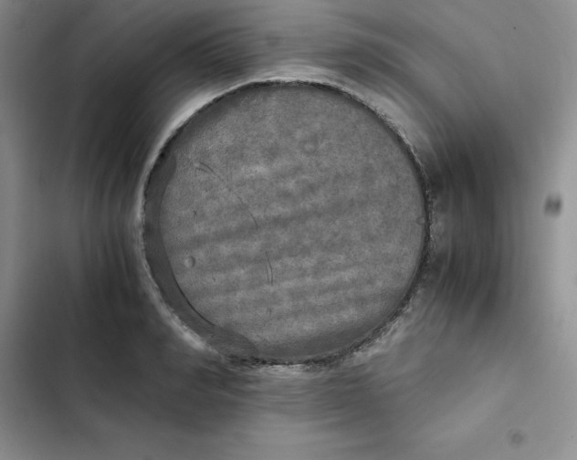 X0000102520990200808221837